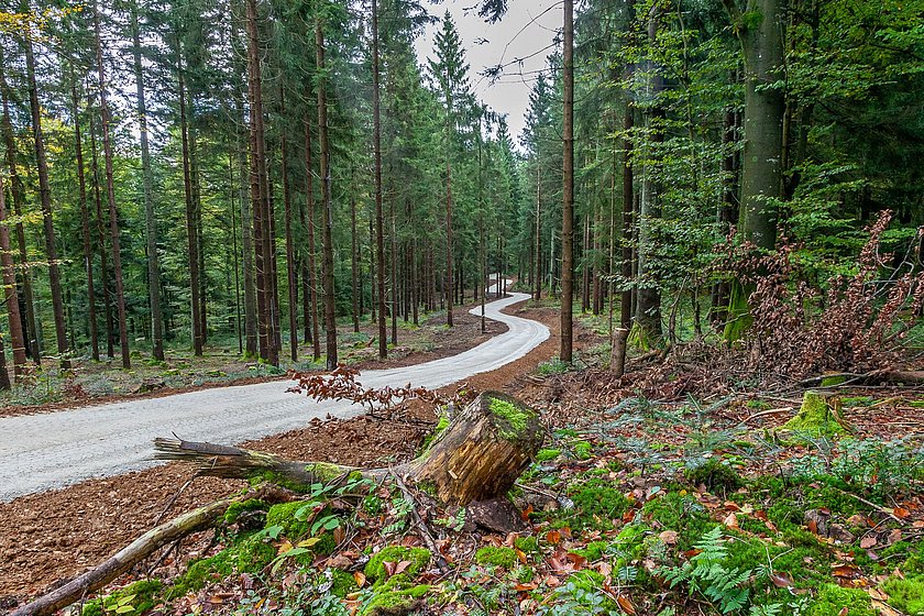 Stiller Wald Rusel, Naturfriedhof Rusel, Friedwald Rusel, Ruhewald Rusel, Begräbniswald Rusel, Deggendorf, Niederbayern, Naturpark Bayerischer Wald, Wege