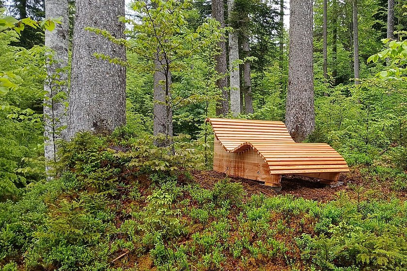 Friedwald Elmau, Begräbniswald Elmau, Ruhewald Elmau, Stiller Wald Mittenwald, Naturfriedhof Elmau, Baumgrabstätte, Baum-Grabstätte